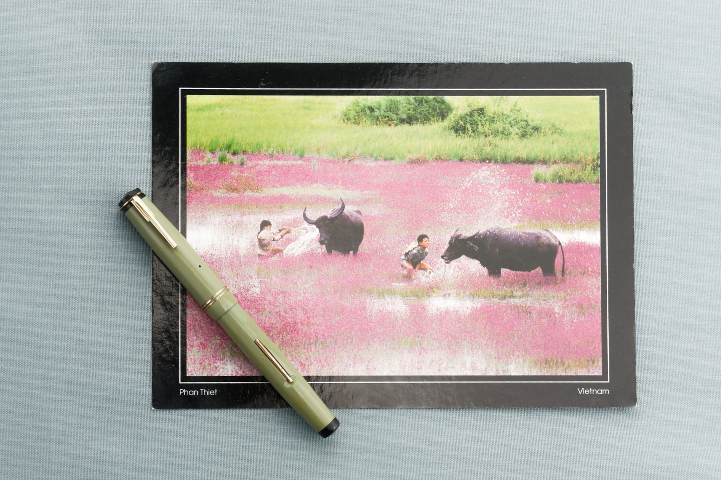 Doan Duc Minh: Kids playing with buffaloes