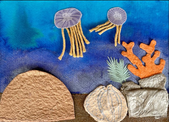 Coral reef postcard