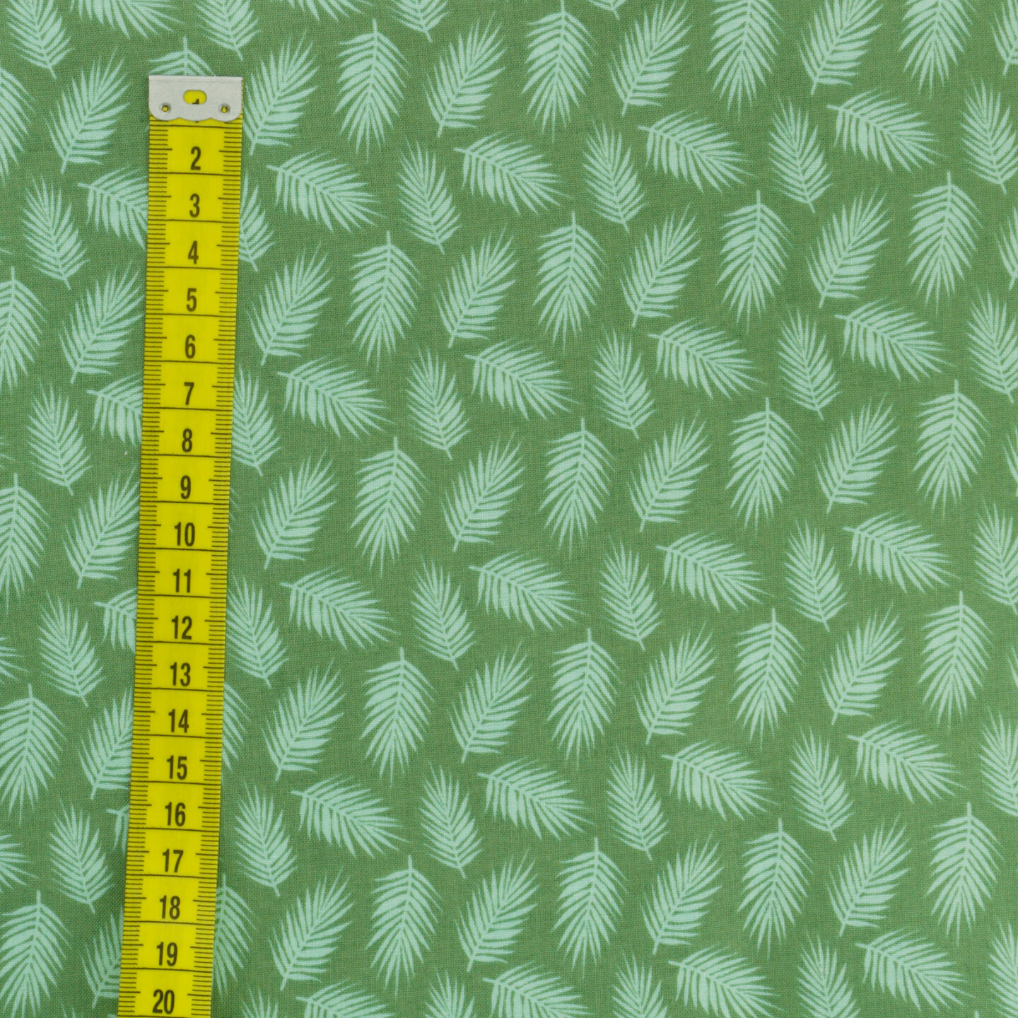 Mint palm leaves on green